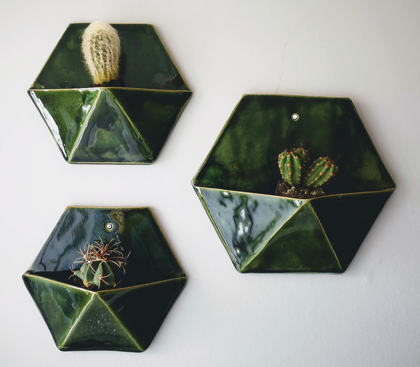 Hexagon Wall Planter