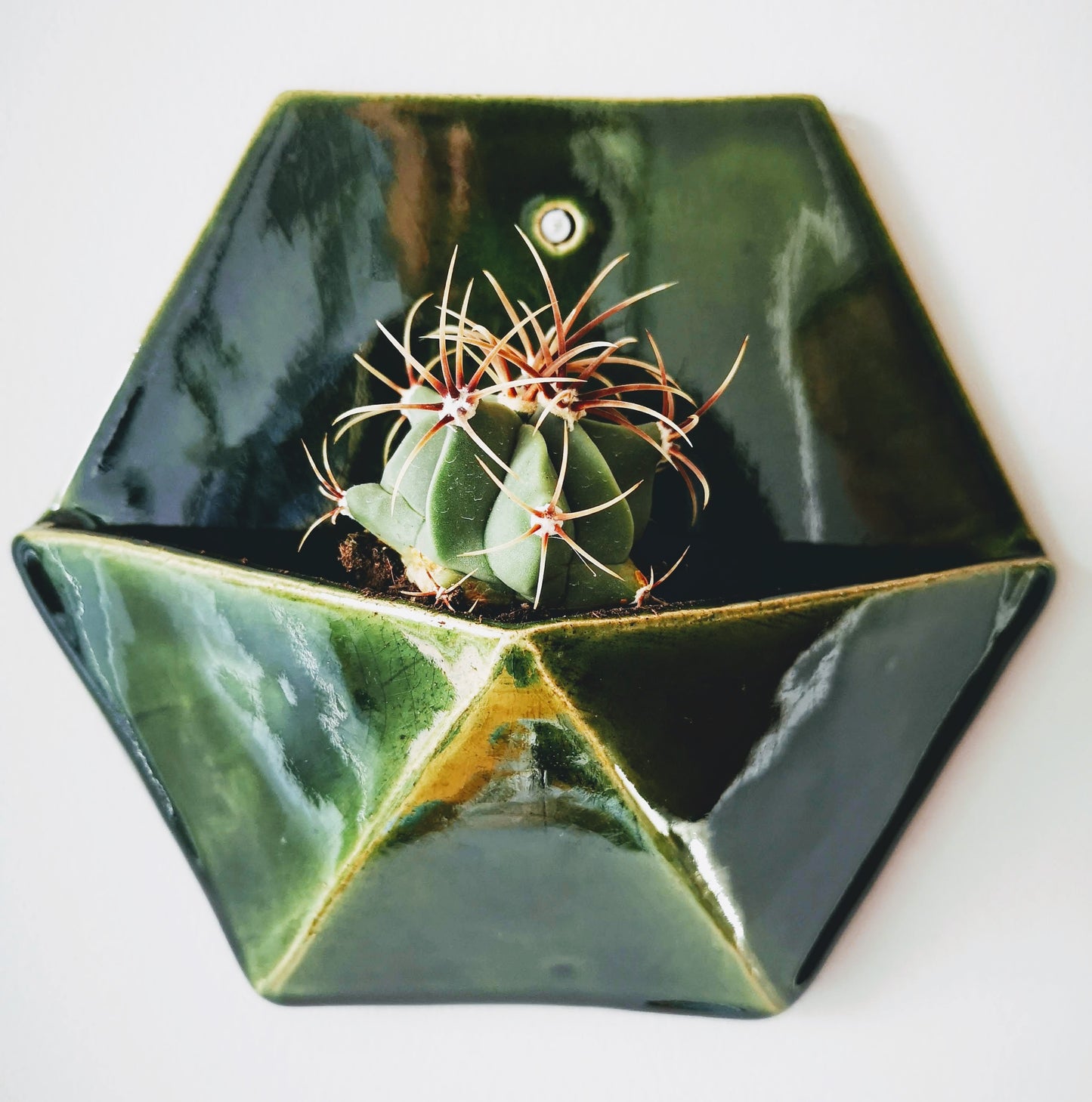 Hexagon Wall Planter