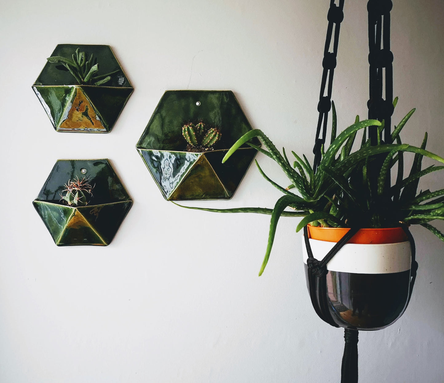 Hexagon Wall Planter