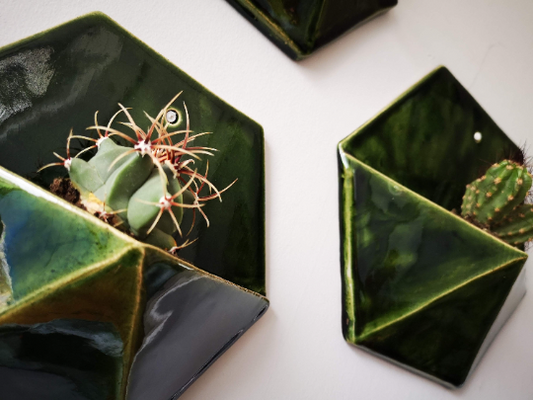 Hexagon Wall Planter
