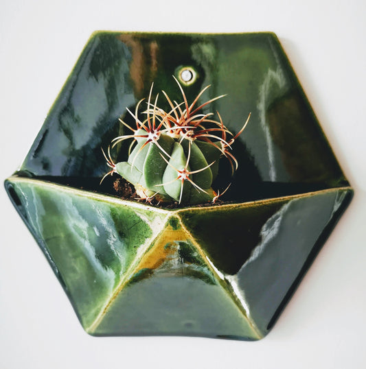 Hexagon Wall Planter